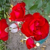 Excurie_Maria 018